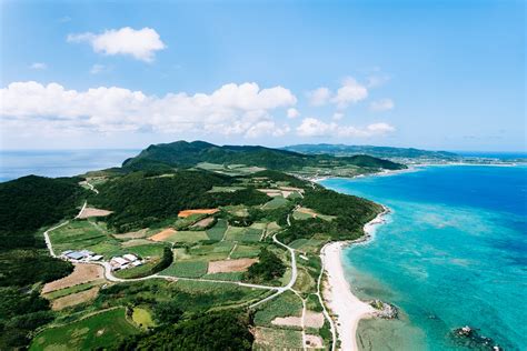 沖縄 住み込み 求人 ～海風と共に働く夢の実現～